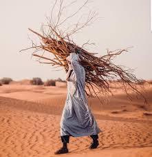 Image result for Nomads