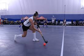 Image result for Indoor Hockey (Casual Use)