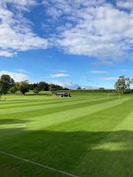 Image result for Runnymede Rascals Cricket Club