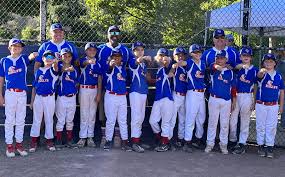 Image result for Clayton Valley Badminton Club