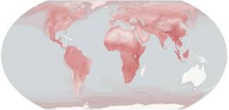 Attēlu rezultāti vaicājumam “Carnivora”