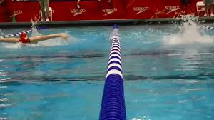 Image result for Leek Swimming Club