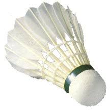 Image result for Horncastle Badminton Club