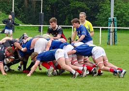 Image result for Crewe & Nantwich Rugby Union Football Club