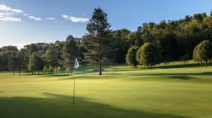 Image result for Henley Golf Club