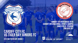 Image result for Cardiff Amateur Athletic Club