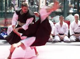 Image result for Durham University Shorinji Kempo Society Club