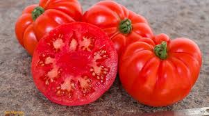 Afbeeldingsresultaat voor 1884 purple tomato