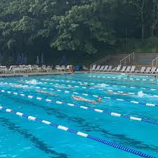 Image result for Buntingford Swimming Club