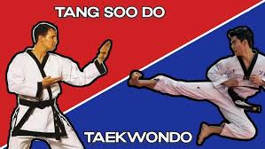 Image result for Forres Tang Soo Do