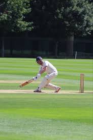 Image result for Corse & Staunton Cricket Club