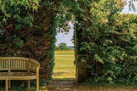 Image result for Chipstead Bowling Club