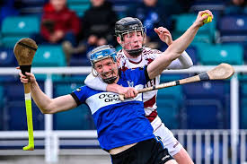 Image result for Sarsfields Hurling Club