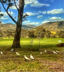 Image result for Strathbogie Rambling Club