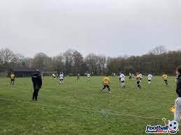 Image result for Newdigate F C
