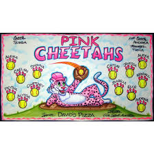 Image result for Cheetahs Softball Team