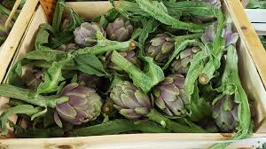 Image result for Cupello