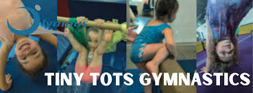 Image result for Little Steps Gym