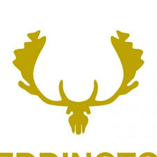 Image result for Teddington Rfc