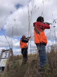 Image result for Property Gun and Punt Club