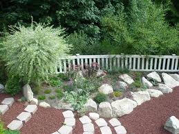 Attēlu rezultāti vaicājumam “Salix cinerea”