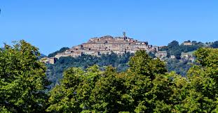 Image result for gabucino