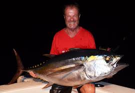 Image result for Thunnus obesus