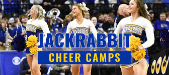 Image result for RT Twilights Cheerleading