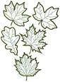 Advanced Embroidery Designs. Floral >> Foliage Embroidery Designs.