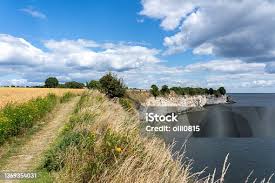 Image result for stevns klint