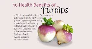 Image result for blackadder turnip