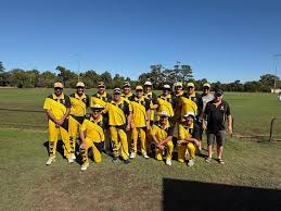 Image result for Blackwood Town Cricket Club