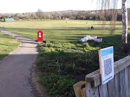 Image result for Ushaw Moor Cricket Club