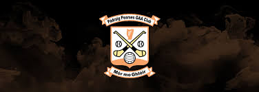 Image result for Padraig Pearses