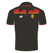 Image result for Manchester Metro Stars Fc