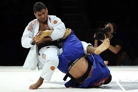 Image result for Brazilian-martial arts
