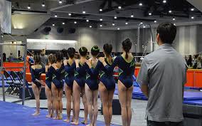 Image result for City Of Hull Olympic Gymnastics Club