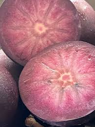 Attēlu rezultāti vaicājumam “Libanotis montana fruit”