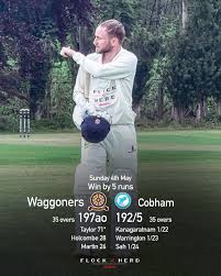 Image result for Ballinger Waggoners Cricket Club