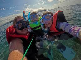 Image result for Wyndley NSC Snorkelling Club