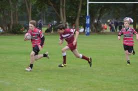 Image result for Amersham & Chiltern Rugby Football Club