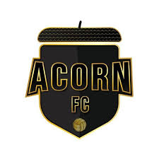 Image result for Ockley Acorns Junior F C