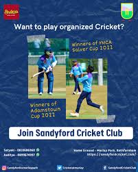 Image result for Sandyford Cricket Club