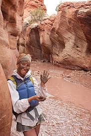 Image result for Mole Valley Bowmen