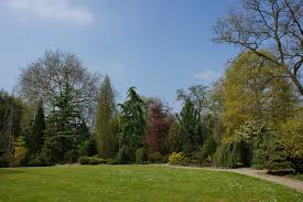 Image result for Arboretum Trompenburg