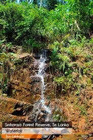 Image result for синхараджа