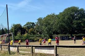 Image result for Upper Beeding Fc
