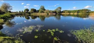 Image result for Hull & District Anglers' Association