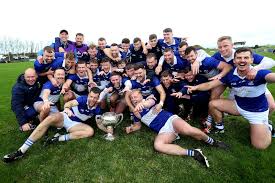 Image result for Rostrevor Hurling Club
