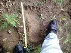 Image result for bigfoot footprints